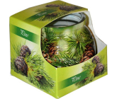 Admit Pine dekorativní aromatická svíčka ve skle 80 g