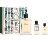 Hermes Terre D Hermes woda toaletowa 100 ml + woda toaletowa 12,5 ml + woda po goleniu 40 ml, zestaw prezentowy dla mężczyzn