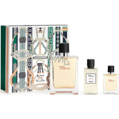Hermes Terre D Hermes woda toaletowa 100 ml + woda toaletowa 12,5 ml + woda po goleniu 40 ml, zestaw prezentowy dla mężczyzn