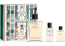 Hermes Terre D Hermes woda toaletowa 100 ml + woda toaletowa 12,5 ml + woda po goleniu 40 ml, zestaw prezentowy dla mężczyzn