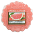 Yankee Candle Pink Grapefruit - Růžový Grep vonný vosk do aromalampy 22 g