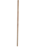 Clanax Násada na smeták, dřevěná hůl 160 cm