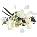 Compagnia Delle Indie 19 Lily of the Valley and White Musks woda perfumowana dla kobiet 75 ml