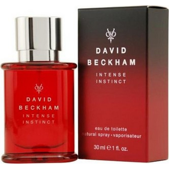 David Beckham Intense Instinct toaletní voda pro muže 50 ml