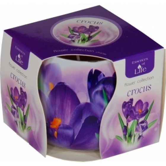Essences of Life Krokus aromatická svíčka ve skle 100 g
