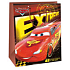 Ditipo Dárková papírová taška 26,4 x 12 x 32,4 cm Disney Cars, Extreme