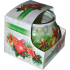 Admit Christmas Decorations aromatyczna świeczka w szkle 80 g