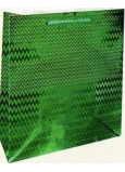 Nekupto Dárková papírová taška hologram 14 x 11 x 6,5 cm Zelená