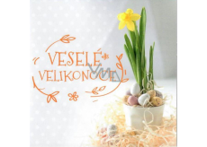 Nekupto Płanowanie na Wielkanoc Wesołych Wielkanocy Słoneczne wiosenne dni 100 x 100 mm 3556 XI