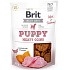 Brit Jerky Sušené masové pamlsky s krůtou a kuřetem pro štěňata 80 g
