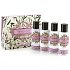 Somerset Toiletry Bílý Jasmín tělové mléko 50 ml + sprchový gel 50 ml + šampón ns vlasy 50 ml + kondicionér na vlasy 50 ml, kosmetická cestovní sada