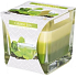 Bispol Green Tea - Zelený čaj tříbarevná vonná svíčka sklo, doba hoření 32 hodin 170 g