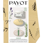 Payot Box Herbier Creme Universelle BIO krem uniwersalny do twarzy z olejkiem lawendowym 50 ml + Twardy krem odżywczy do ciała i twarzy z olejkiem eterycznym rozmarynu 1 szt. + Rękawica z lufu 1 szt., zestaw kosmetyczny 2022