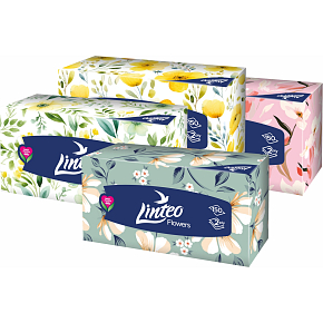 Linteo BOX papírové kapesníky 2vrstvé, 150 ks