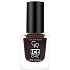 Golden Rose Ice Chic Nail Colour lak na nehty 67 10,5 ml