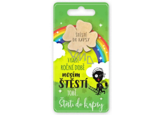 Nekupto Kapesní objetí Czterolistka W każdej porze roku noszę szczęście Tobie, szczęście do kieszeni 6 x 12 cm