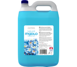 LAVON płynne mydło Bławatek, 5 l