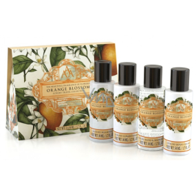 Somerset Toiletry Pomerančový květ tělové mléko 50 ml + sprchový gel 50 ml + šampónna vlasy 50 ml + kondicionér na vlasy 50 ml, kosmetická cestovní sada Somerset Toiletry Pomerančový květ tělové mléko 50 ml + sprchový gel 50 ml + šampónna vlasy 50 ml + kondicionér na vlasy 50 ml, kosmetická cestovní sada