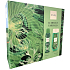 C-Thru Luminous Emerald deodorant sprej 150 ml + sprchový gel 250 ml, kosmetická sada pro ženy