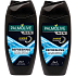 Palmolive Men Refreshing Duo 2v1 sprchový gel 2 x 250 ml