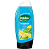 Radox Invigorate Máta a citrusový olej 2v1 sprchový gel a šampon 250 ml