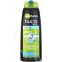 Garnier Fructis Men Menthol Power posilující šampon proti lupům 250 ml