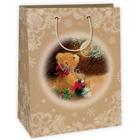Ditipo Dárková kraftová taška 22 x 10 x 29 cm medvídek 40