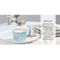 Yankee Candle Fresh Forest - Svěží les Special collection Winter Wish 3 knotá vonná svíčka 773 g