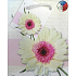 Nekupto Dárková papírová taška 14 x 11 x 6,5 cm Gerbera 1 kus T083