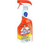 Mr. Muscle Kuchyně Citrus środek czyszczący rozpylacz 500 ml