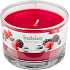 Bolsius Aromatic Berry Delight - Rozkošné bobule vonná svíčka ve skle 90 x 65 mm 247 g doba hoření cca 30 hodin