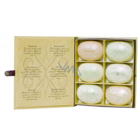 Bronnley herbář Arnika + Máta + Měsíček + Šípky + Jeřabina + Tymián sada mýdel 6 x 50 g