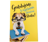 Nekupto Přání k ukoňčení studia 115 x 170 mm 3452 F