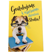 Nekupto Přání k ukoňčení studia 115 x 170 mm 3452 F