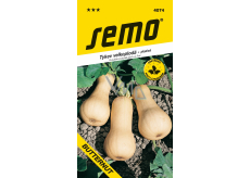 Semo Tykev Butternut muškátová plazivá 2 g