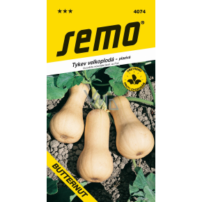 Semo Dynia Butternut muszkatołowa pnąca 2 g Semo Dynia Butternut muszkatołowa pnąca 2 g