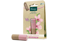 Kneipp Migdałowy balsam do ust 100% naturalnej pielęgnacji dla wrażliwych ust 4,7 g