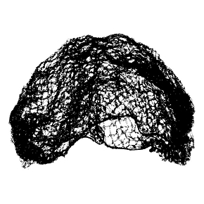 Abella Siatka na włosy D - 70