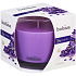 Bolsius True Scents Lavender - Lawenda zapachowa świeca w szkle 95 x 95 mm, czas palenia 43 godzin