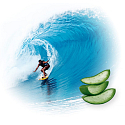 Soleo Surf Aloe Vera Szybki przyspieszacz opalania dla wrażliwej skóry 15 ml