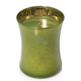 WoodWick Evergreen - Vůně jehličí vonná svíčka s dřevěným knotem a víčkem sklo střední 275 g Festine Joy limited 2018