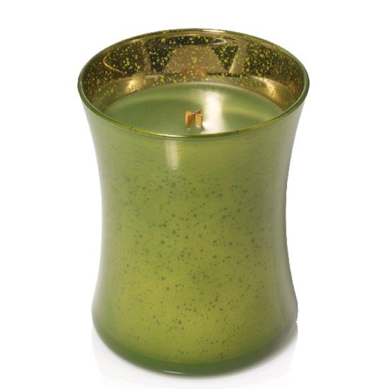 WoodWick Evergreen - Vůně jehličí vonná svíčka s dřevěným knotem a víčkem sklo střední 275 g Festine Joy limited 2018
