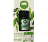 Elysium Spa Eukaliptus 100% olejek eteryczny 10 ml