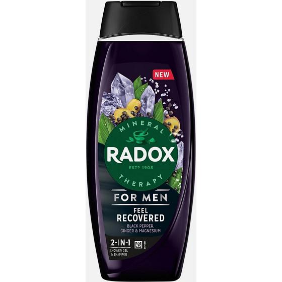 Radox Men Feel Recovered 2w1 żel pod prysznic i szampon dla mężczyzn 450 ml