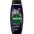 Radox Men Feel Recovered 2w1 żel pod prysznic i szampon dla mężczyzn 450 ml