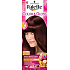 Schwarzkopf Palette Color & Gloss barva na vlasy 5 - 89