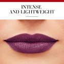 Bourjois Rouge Fabuleux rtěnka 15 Plum Plum Pidou 2,4 g