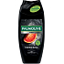 Palmolive żel pod prysznic i szampon Men Red Energising 3w1, 250 ml