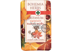 Bohemia Gifts Castanum Ekstrakt z kasztanowca zwyczajnego regenerujący żel do mycia 100 g