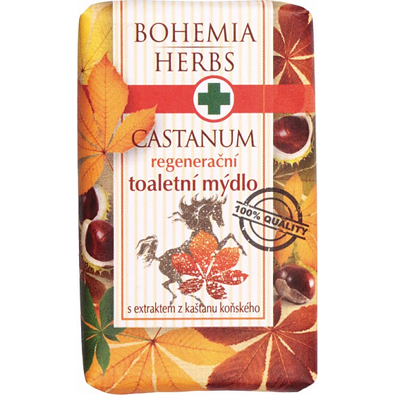 Bohemia Gifts Castanum Ekstrakt z kasztanowca zwyczajnego regenerujący żel do mycia 100 g